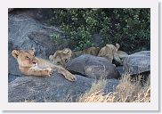 15SerengetiAMGameDrive - 20 * We are definately being watched. Don't mess with mama.